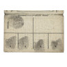 Card, Identification, Pfc. Gerrit DeWitt Card, Identification, Pfc. Gerrit DeWitt