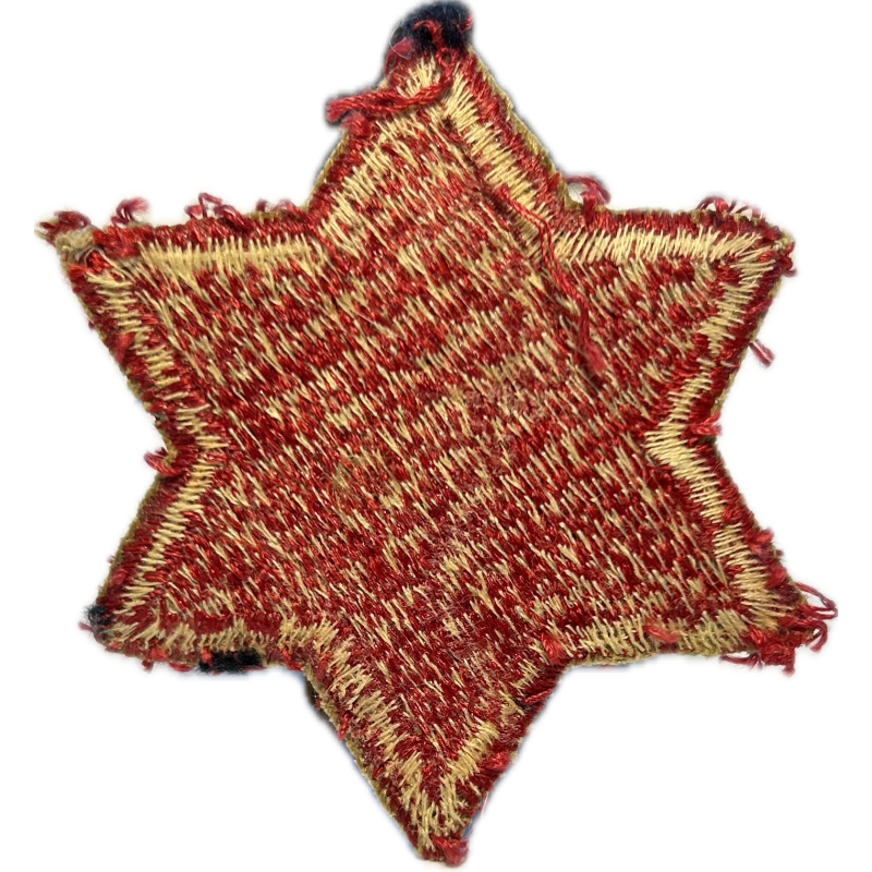 Insigne, 6th Infantry Division
