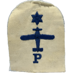 Insigne, Royal Navy, Pilot Under Training