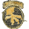 Insigne, 17th Airborne Division