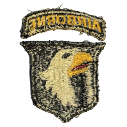 Insigne, 101st Airborne Division, Type 9