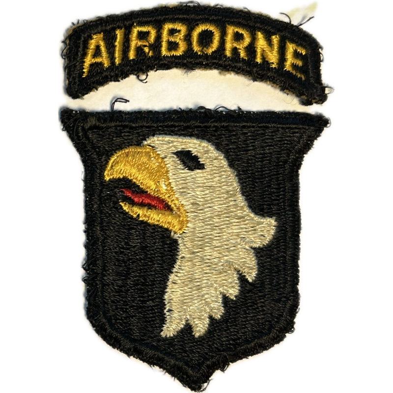 Insigne, 101st Airborne Division, Type 9
