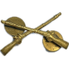Insigne de col officier US Infantry, A.E. Co. Utica., à pin's,