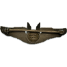 Brevet de mitrailleur, USAAF, AMICO Sterling, miniature