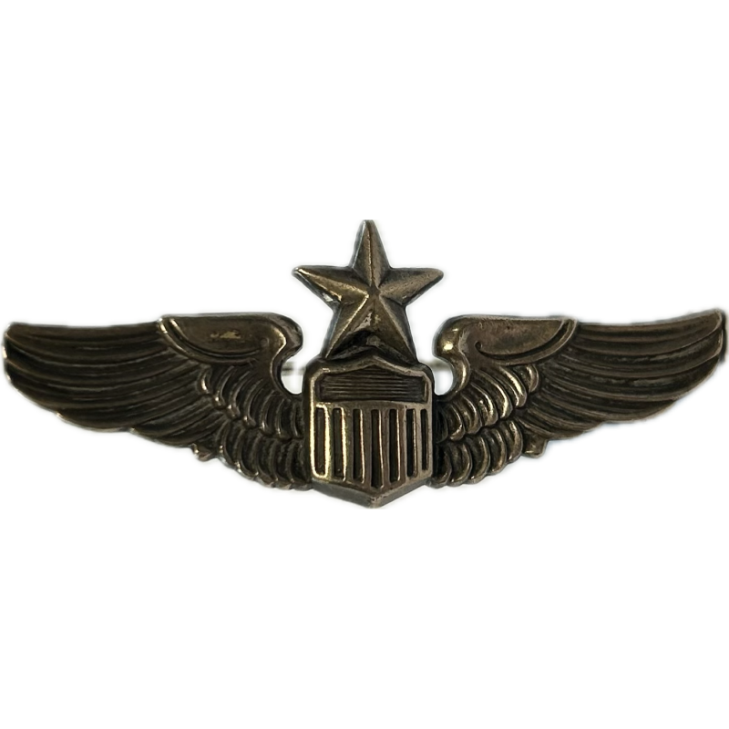 Brevet de Senior Pilot, USAAF, Sterling N.S. Meyer New York, miniature