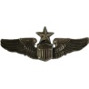 Brevet de Senior Pilot, USAAF, Sterling N.S. Meyer New York, miniature