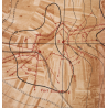 Map, Forts Sinnesberg & PT. Rederching, US Army, Maginot line