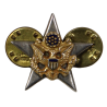 Insigne de col officier, General Staff Corps, Sterling, Snow Flakes