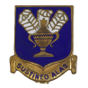 Crest, Technical Training Command, USAAF, à épingle