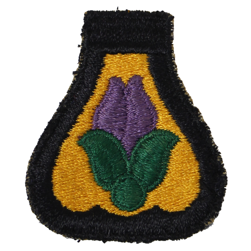 Insigne, 21st Cavalry Division