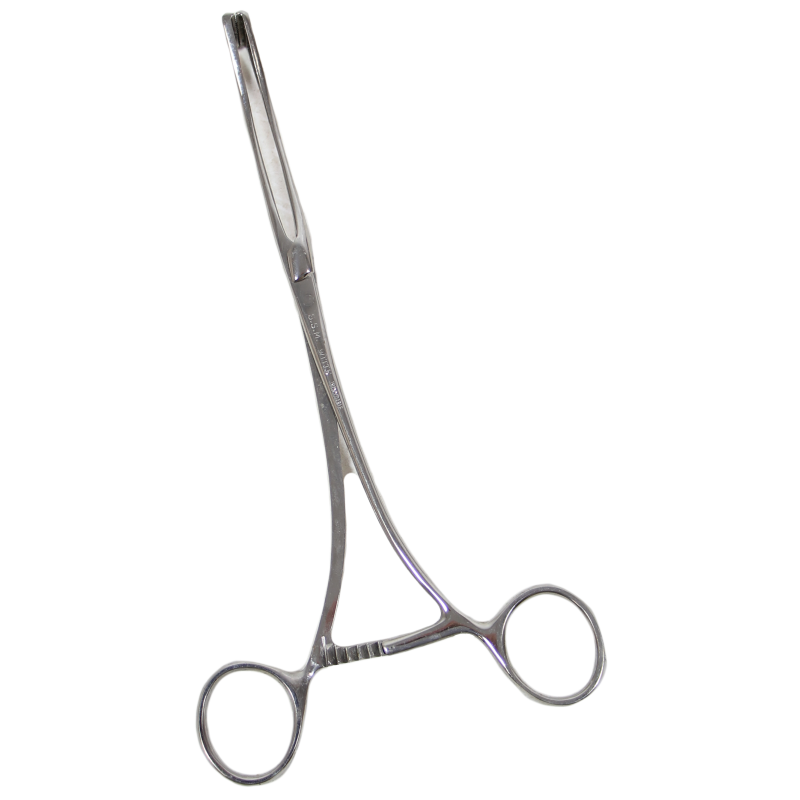 Forcep, Pennington, WITTE, (Germany)
