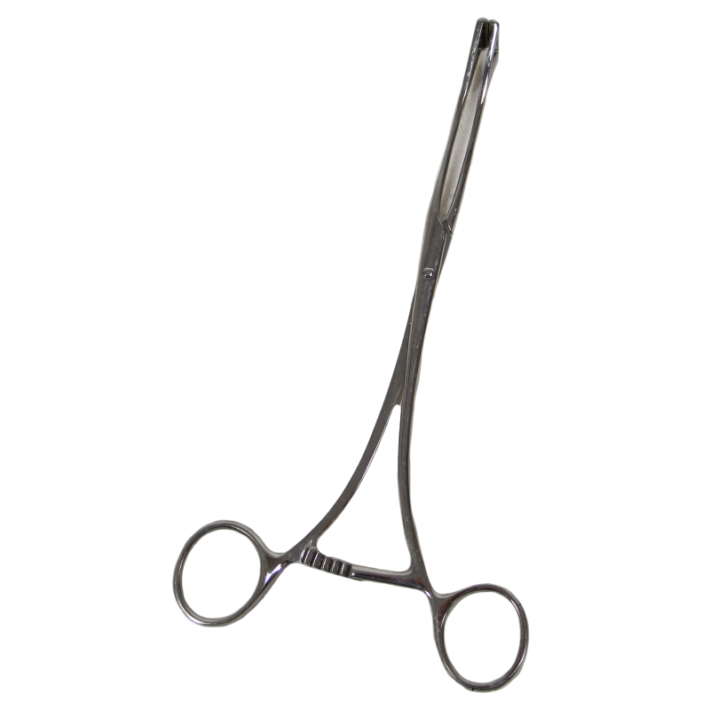 Pinces de Pennington, Médicales, WITTE (Germany)