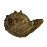 Insignia, Cap, Belgian, Chasseur ardennais