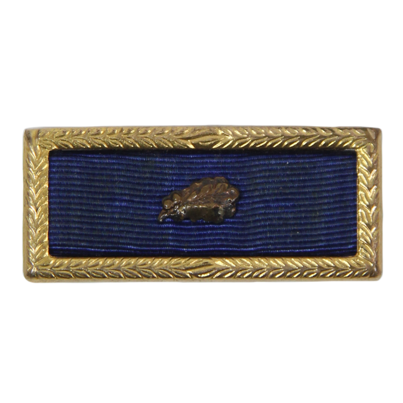 Presidential Unit Citation, with Oak Leaf cluster, PB