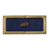 Presidential Unit Citation, with Oak Leaf cluster, PB