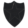 Insigne, 2nd Infantry Division, Précoce