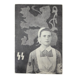 Carte postale, infirmière, volontaire flamande, Deutsche Rote Kreuz, Waffen-ᛋᛋ