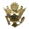 Insignia, Cap, Officer, US Army