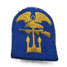 Patch, Engineer Amphibious, ESB, D-Day, Southern France