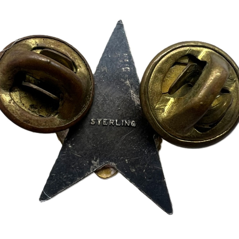 Pair, General Staff Corps, Officer Ccollar Insignias, Sterling