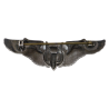 Brevet de mitrailleur USAAF, 2-inch, Sterling