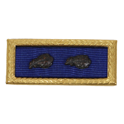 Presidential Unit Citation, with two Oak Leaf cluster, PB