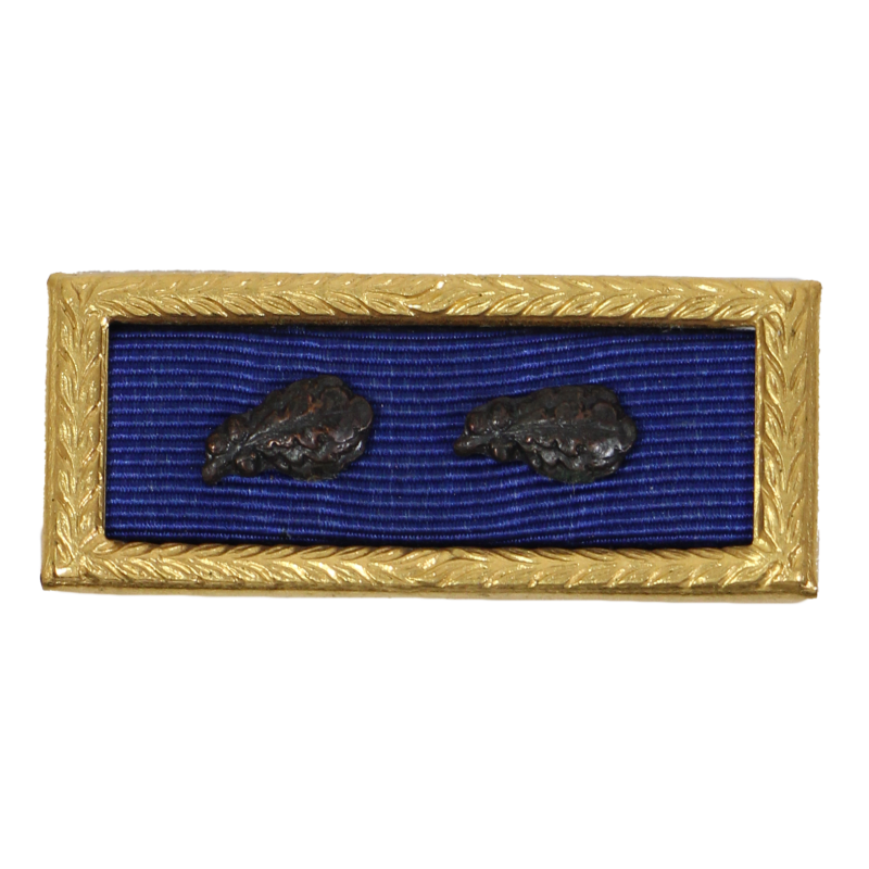 Presidential Unit Citation, with two Oak Leaf cluster, PB