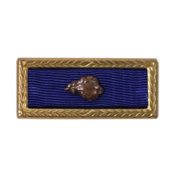Presidential Unit Citation, with Bronze Oak Leaf Cluster, Pin Back