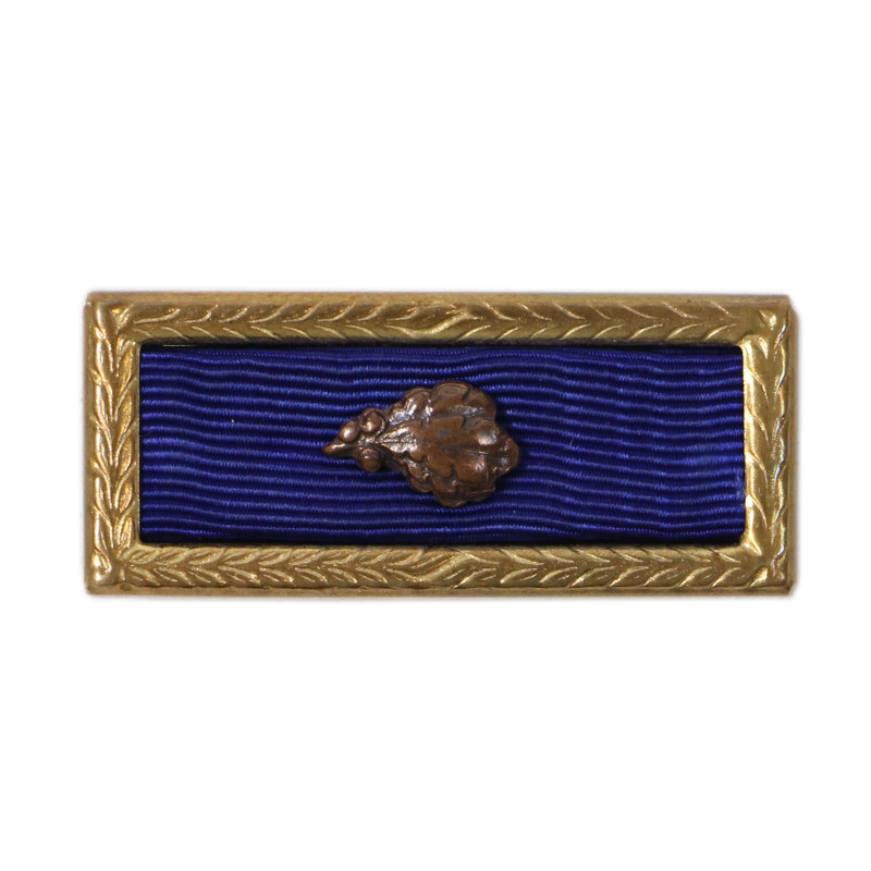 Presidential Unit Citation, with Bronze Oak Leaf Cluster, Pin Back