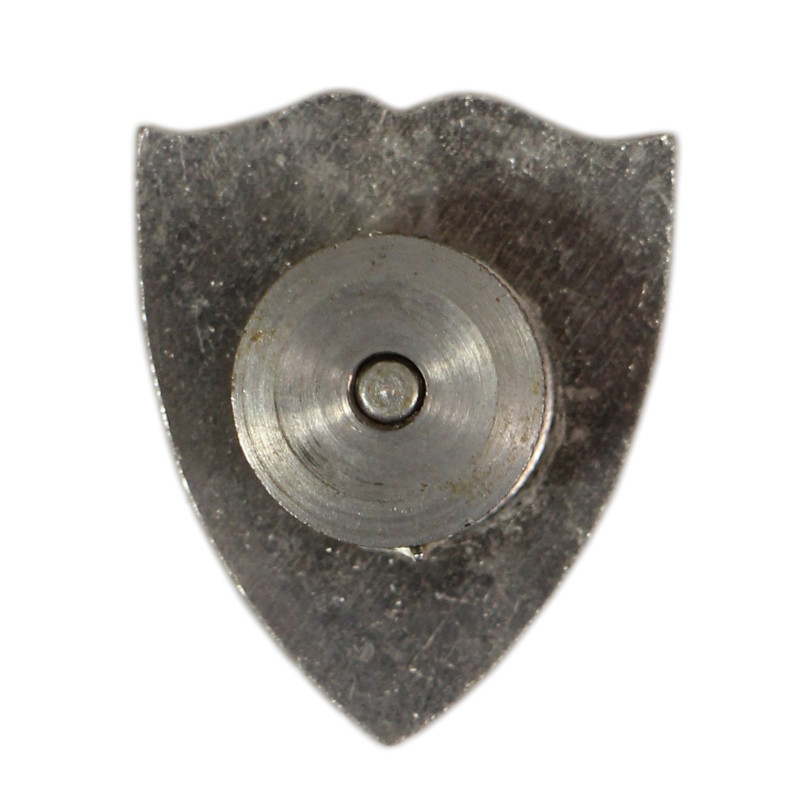 Crest, DUI, 1st Medical Squadron, 1st Cavalry Division, PTO