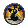Insigne, Alaska Defense Command