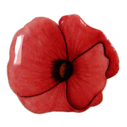 Pin's, Coquelicot