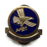 Crest, 1st Troop Carrier Command, Sterling