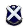 Crest, 113th Inf. Rgt., 44th Infantry Division, à vis