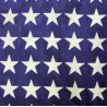 Drapeau US, rayonne, 48 étoiles, évasion, USAAF