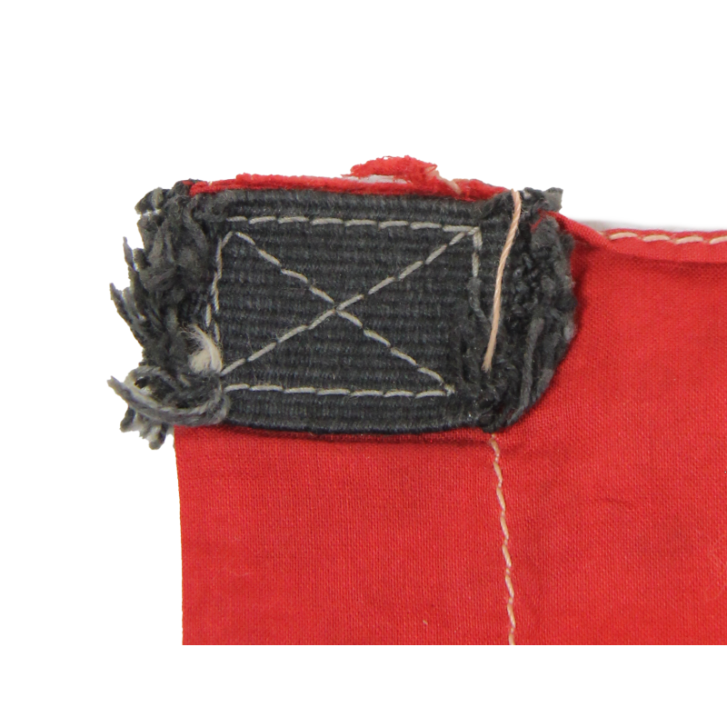 Drapeau, Parti de la jeunesse du grand Japon, Dai-Nippon Seinen-tō
