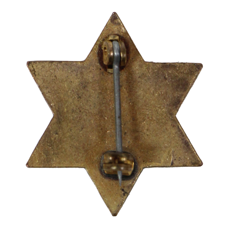 Crest, 6th Infantry Division, à épingle