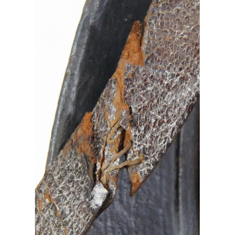 Casque Adrian, Mle 1915, génie français, attribut du 1er type, complet