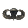 Badge, Parachutist's, 'Jump Wings', US Army, Pin Back