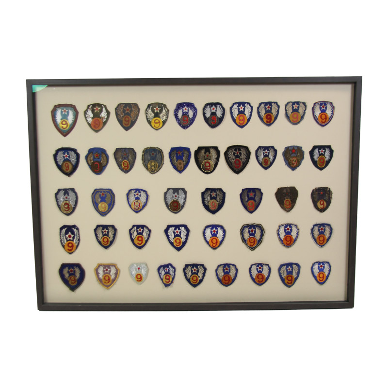 Frame, 9th Air Force, USAAF, 45 Insignias