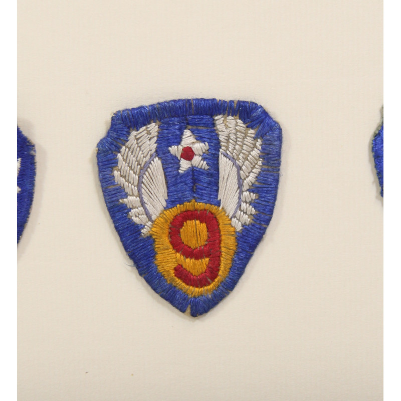 Frame, 9th Air Force, USAAF, 45 Insignias