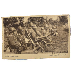Postcard, Belgian Army, Ils font bonne garde