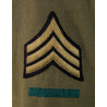 Grouping, Sergeant, Combat Leader, 104th Infantry Division, ETO
