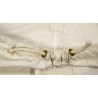 Overtrousers, White, US Army