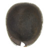 Casque M1, pattes fixes, Fifth Army, impacté