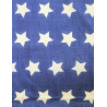 Drapeau US, 46 étoiles imprimées, 1908-1912