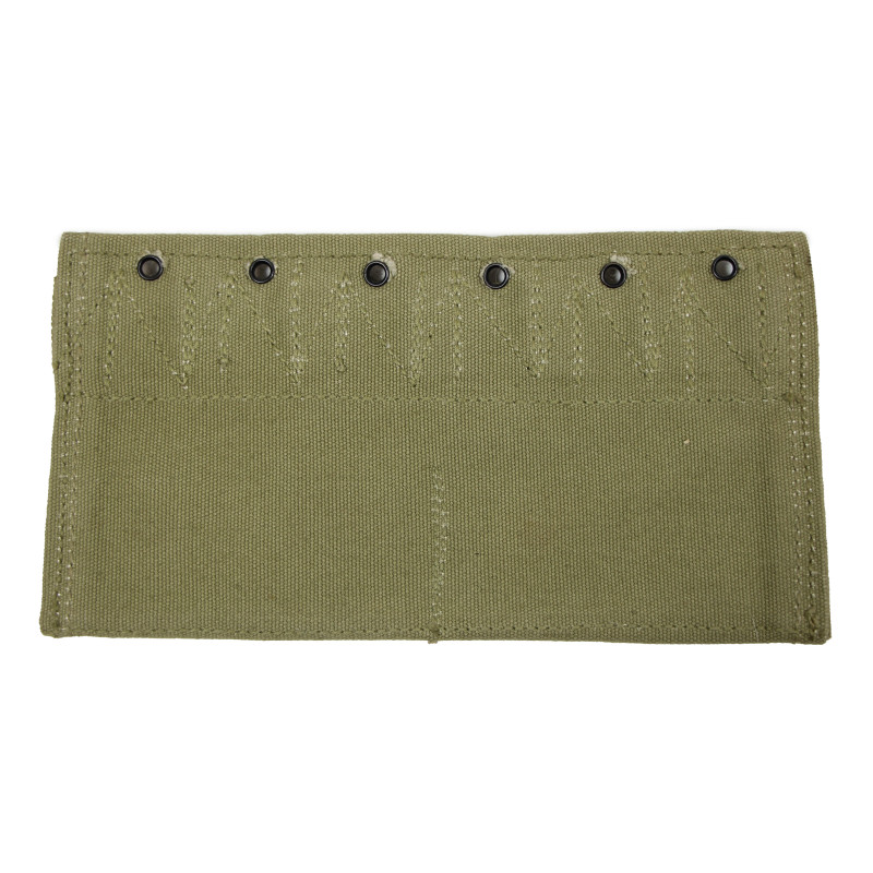 Insert, Medical, Type II