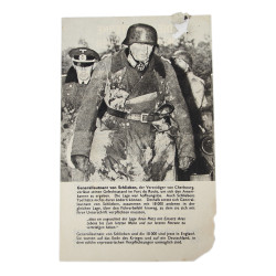 Leaflet, ZG.20, US, Cherbourg, 1944, Normandy