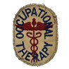 Insigne, Occupational Therapy, US Army Medical Department