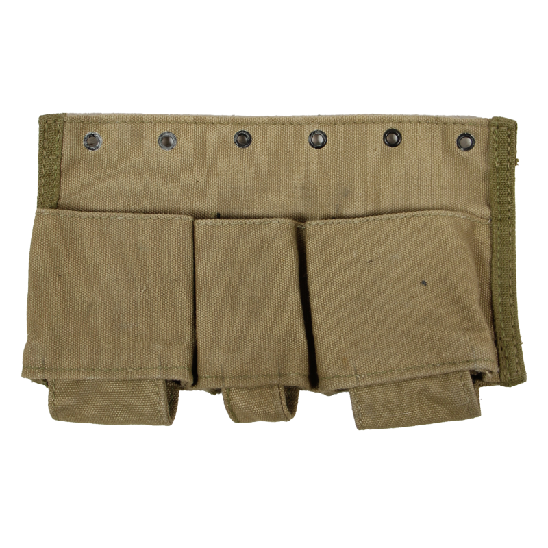 Insert, Medical, Type I